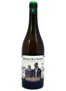 Bijel Manar dos Seixas