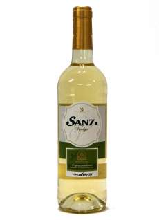 Bijel Sanz Verdejo