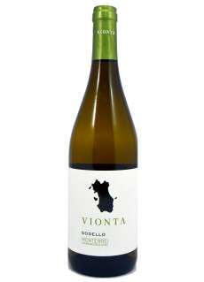 Bijel Vionta Godello