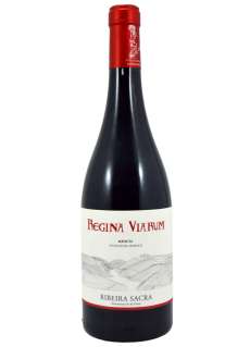 Crno vino Regina Viarum Mencía 2024 - 3 Uds.