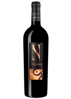 Crno vino Valenciso 10 Años Después
