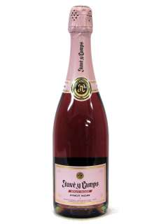 Juvé Rosé